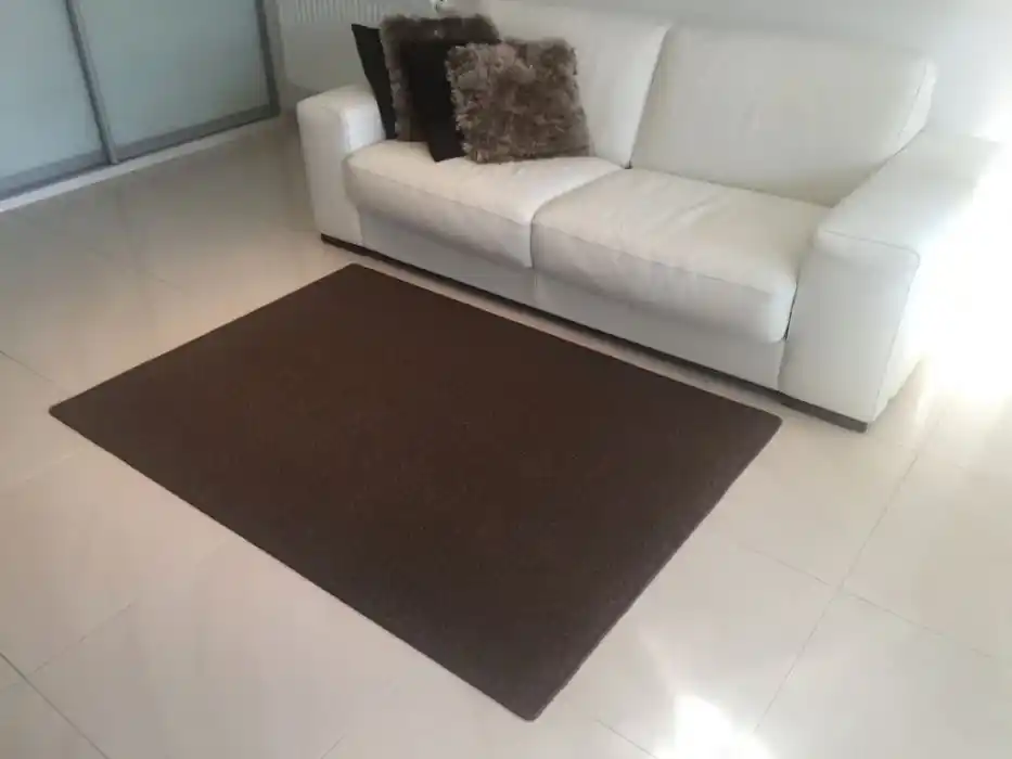 Akční Cena Kusový koberec Astra hnědá - 200 x 300 cm