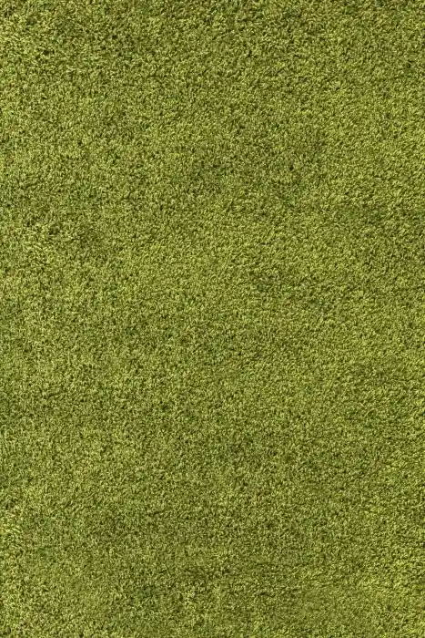 Kusový koberec Life Shaggy 1500 green Aktuální