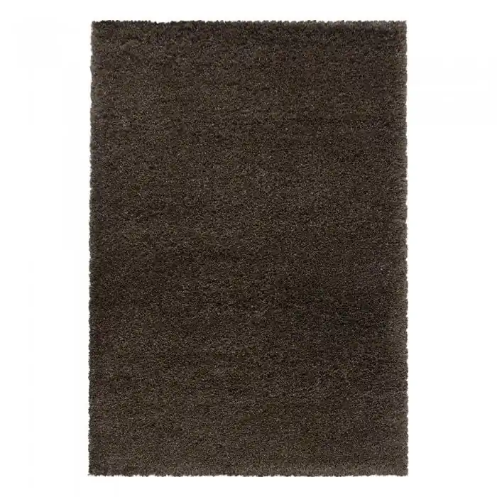 Expresní Doručení Kusový koberec Fluffy shaggy 3500 brown - 240 x 340 cm