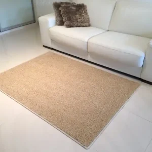 Nízká Cena Kusový koberec Color Shaggy béžový - 1 m2 s obšitím
