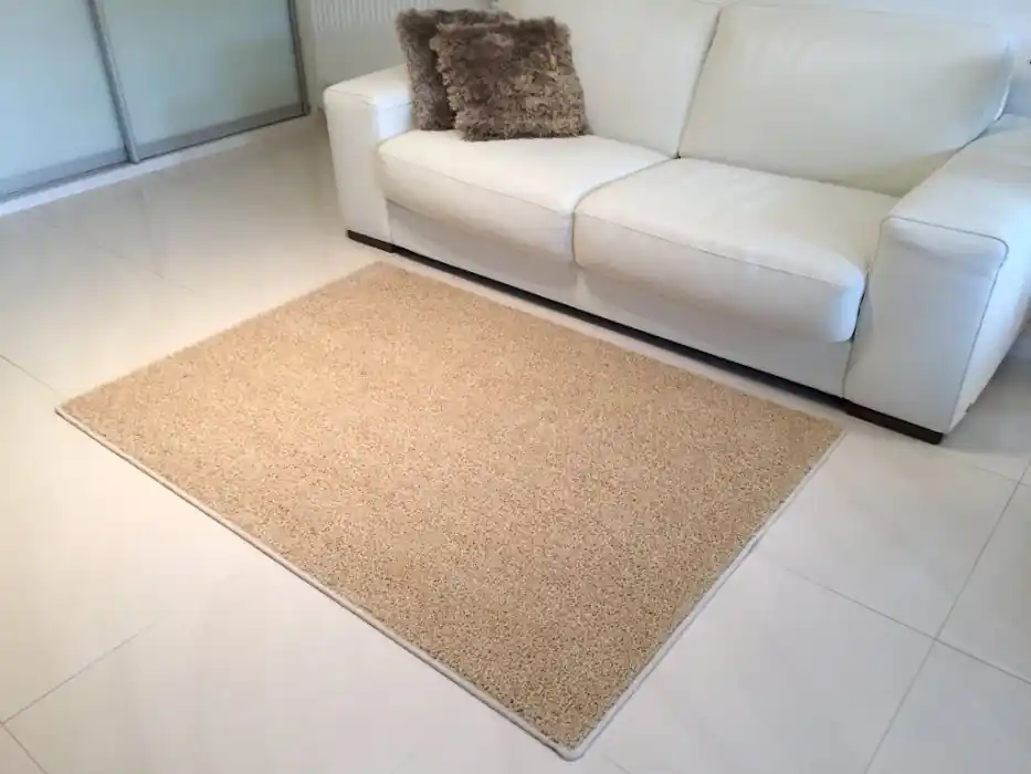 Kusový koberec Color Shaggy béžový - 60 x 60 cm Rychlé Dodání