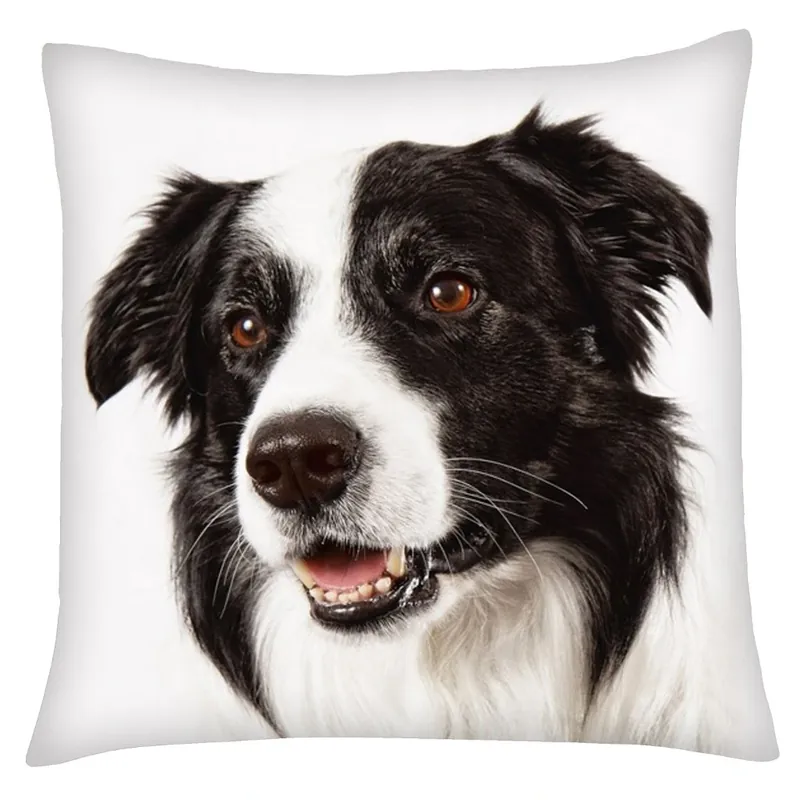 Expresní Doručení Polštář s motivem psa 03 Mybesthome 40x40 cm