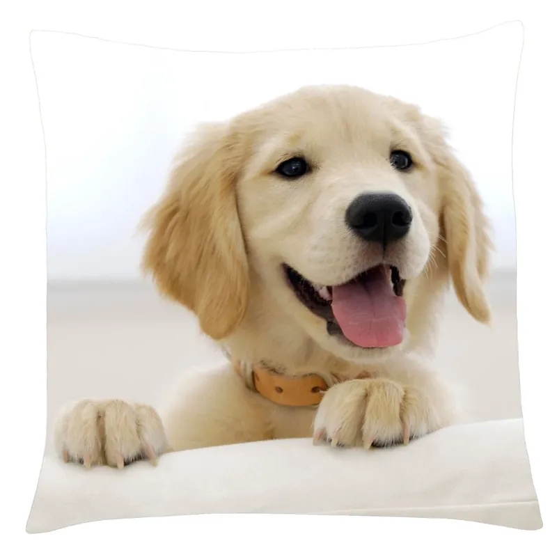Polštář s motivem psa 26 Retriever Mybesthome 40x40 cm Nakupujte Hned