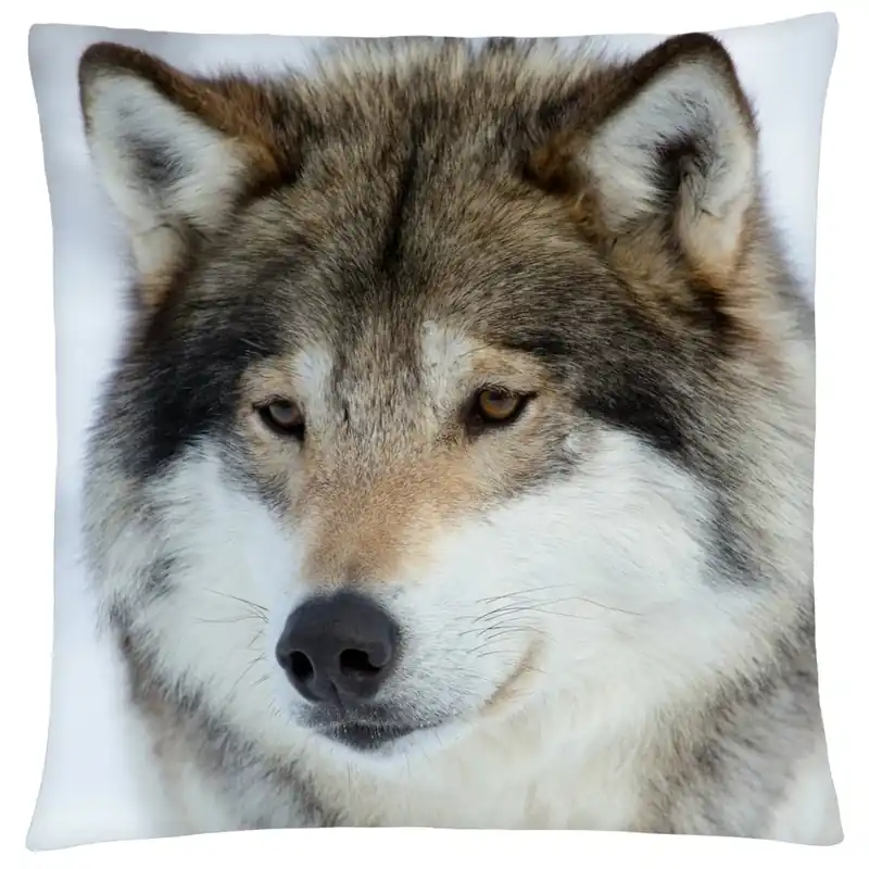 Pouze Dnes Polštář s vlkem 35 Mybesthome 40x40 cm