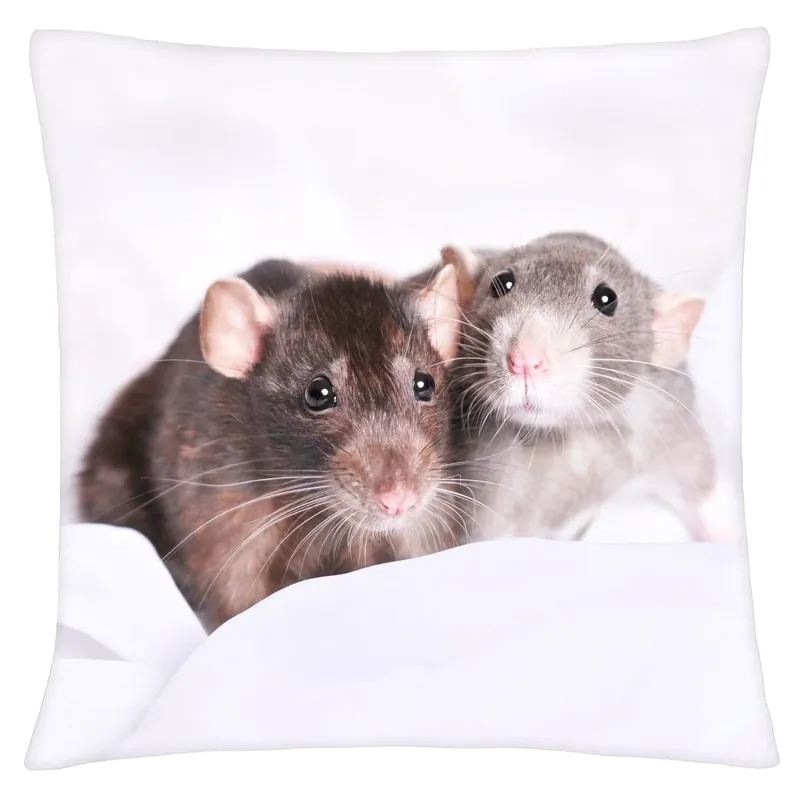 Polštář ANIMAL 24 - POTKAN Mybesthome 40x40 cm Poslední Šance