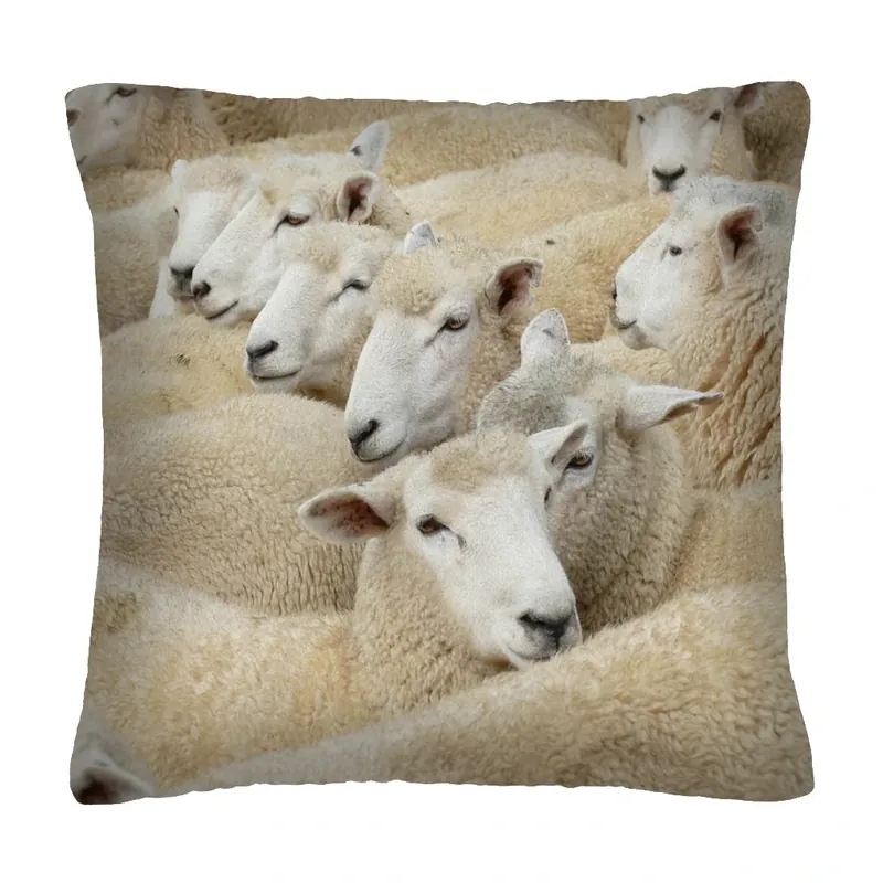 Bezpečná Platba Polštář animal 15 - OVCE Mybesthome 40x40 cm