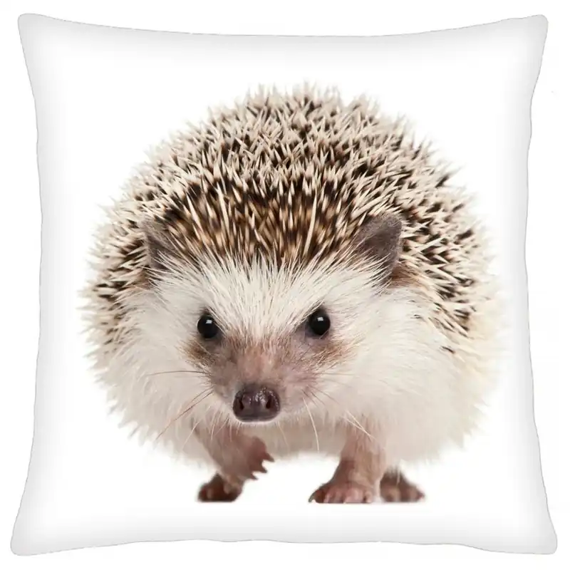 Polštář animal 52 - JEŽEK Mybesthome 40x40 cm Levný