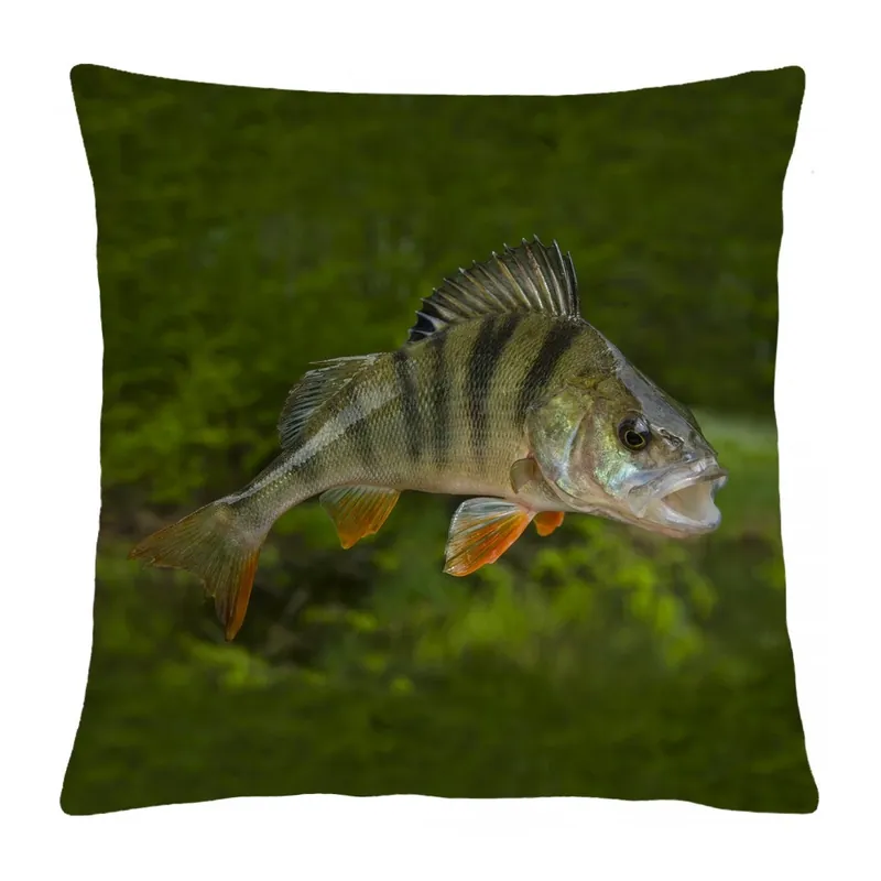 Dokud Zásoby Vydrží Polštář animal 54 - OKOUN Mybesthome 40x40 cm