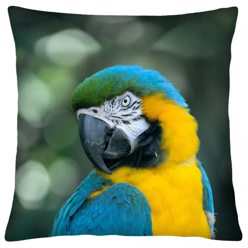 Polštář animal 66 PAPOUŠEK ARA Mybesthome 40x40 cm Výhodná Nabídka