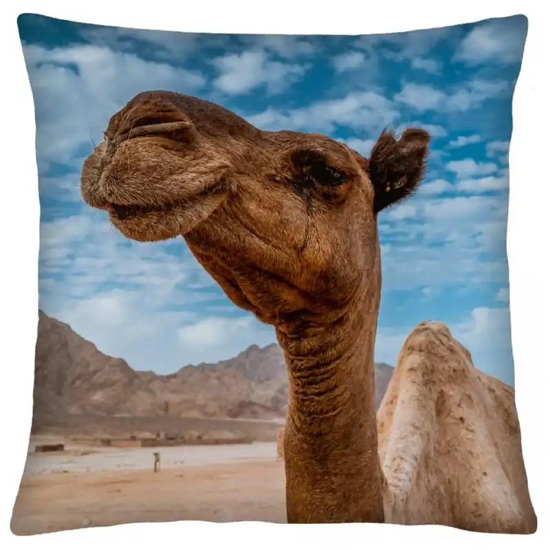 Polštář animal 67 VELBLOUD Mybesthome 40x40 cm Rychlé Dodání