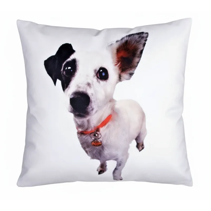 Dětský polštář PETS DOG 40x40 cm motiv A Výprodej