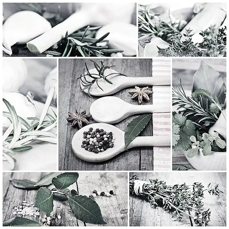 Speciální Cena Moderní obraz na plátně do kuchyně GREEN 65x65 cm Styler