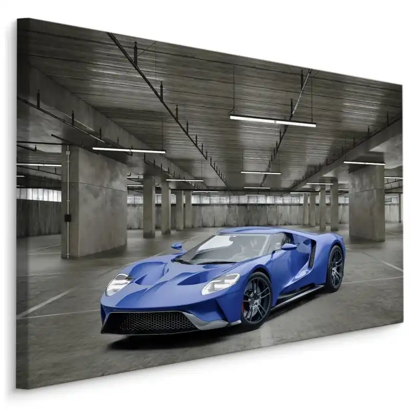 Must-Have Plátno Sportovní Auto V Garáži