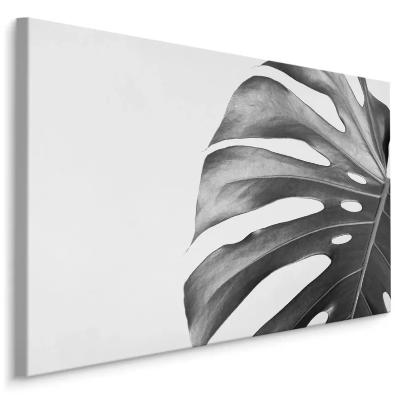 Plátno List Monstera V Černobílém Provedení Speciální Cena