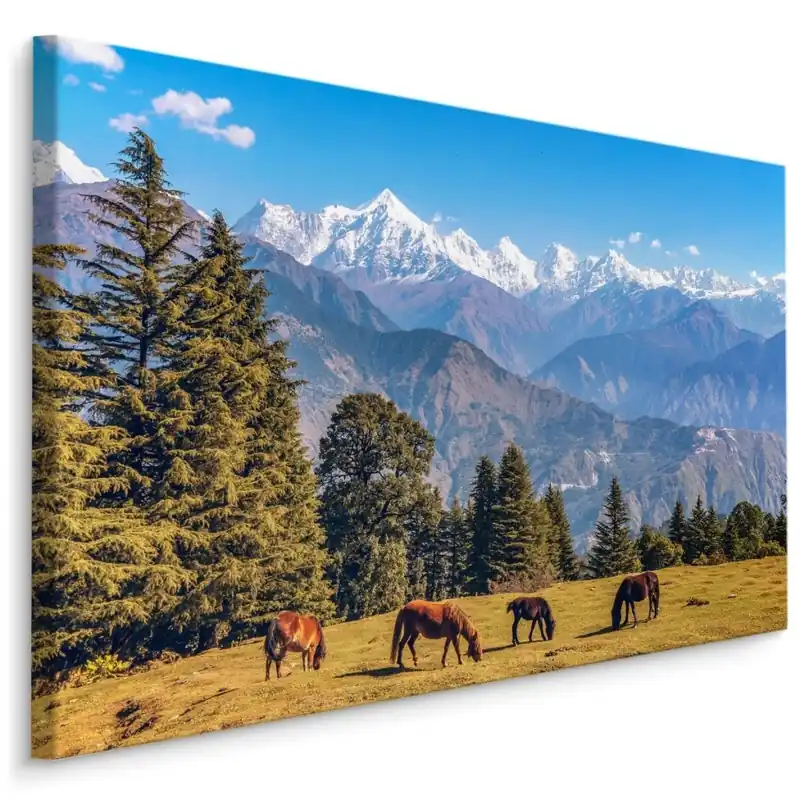 Plátno Koně A Horská Krajina Časově Omezené