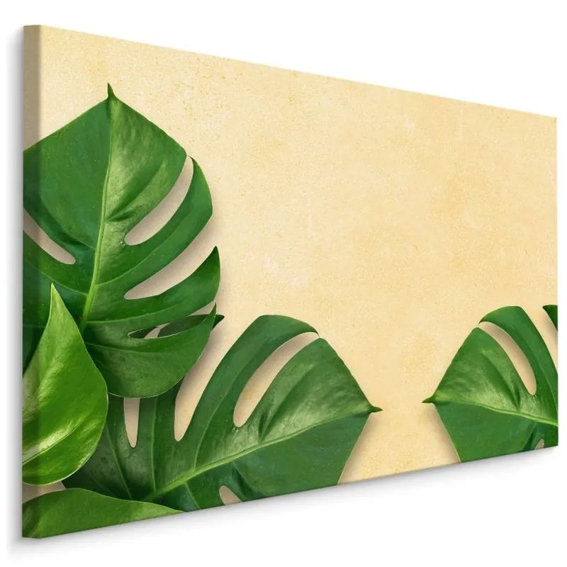 Plátno Monstera Listy Na Béžovém Pozadí Objednat Nyní