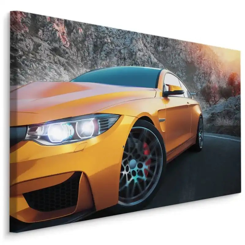 Plátno Sportovní Auto V Horách Finální Výprodej