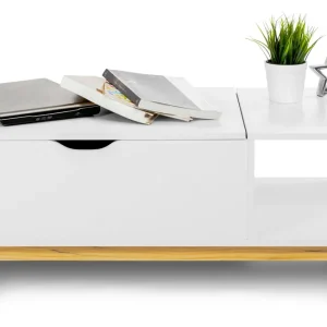 Omezená Nabídka Konferenční stůl FJ1105043 bílý