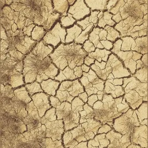 Top Prodej Koberec TERRA ořech