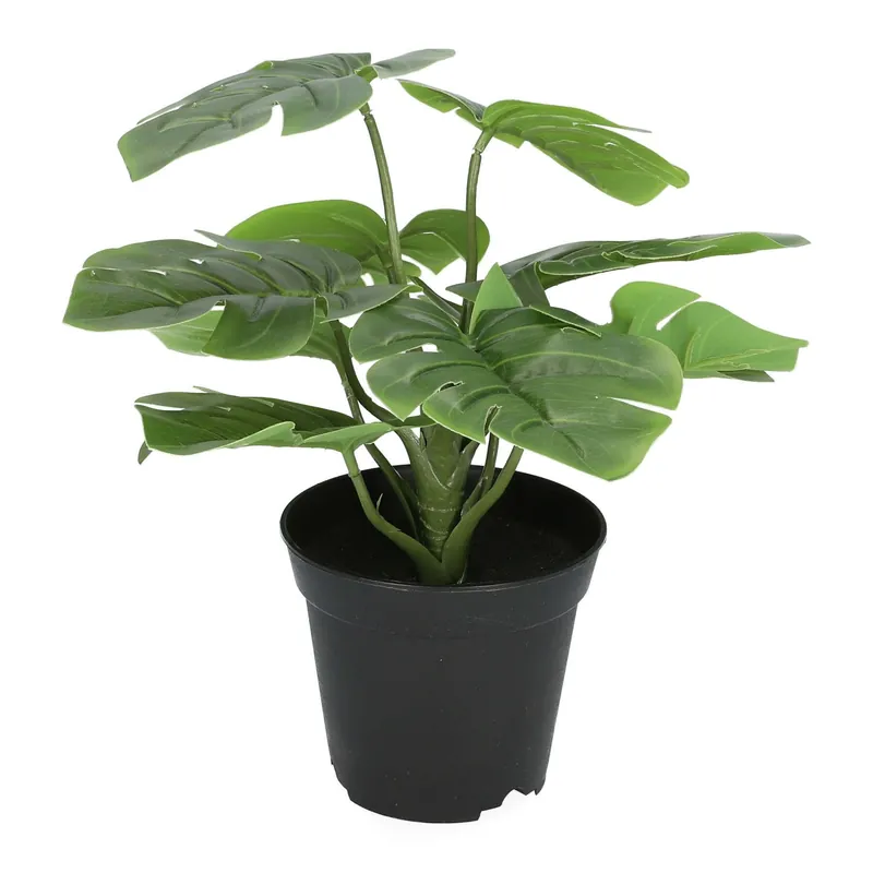 Objednat Nyní Umělá rostlina MONSTERA zelená 29 cm