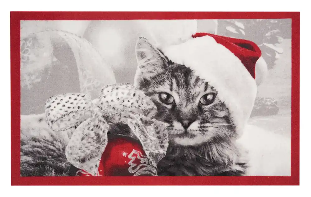 Nakupujte Hned Rohožka Printy 103041 Red grey