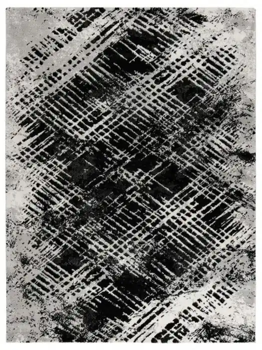 Kusový koberec Louvre 503 silver Objednat Nyní