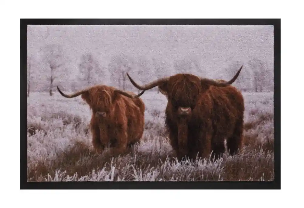 Rohožka 585 Image 017 highland cows Expresní Doručení