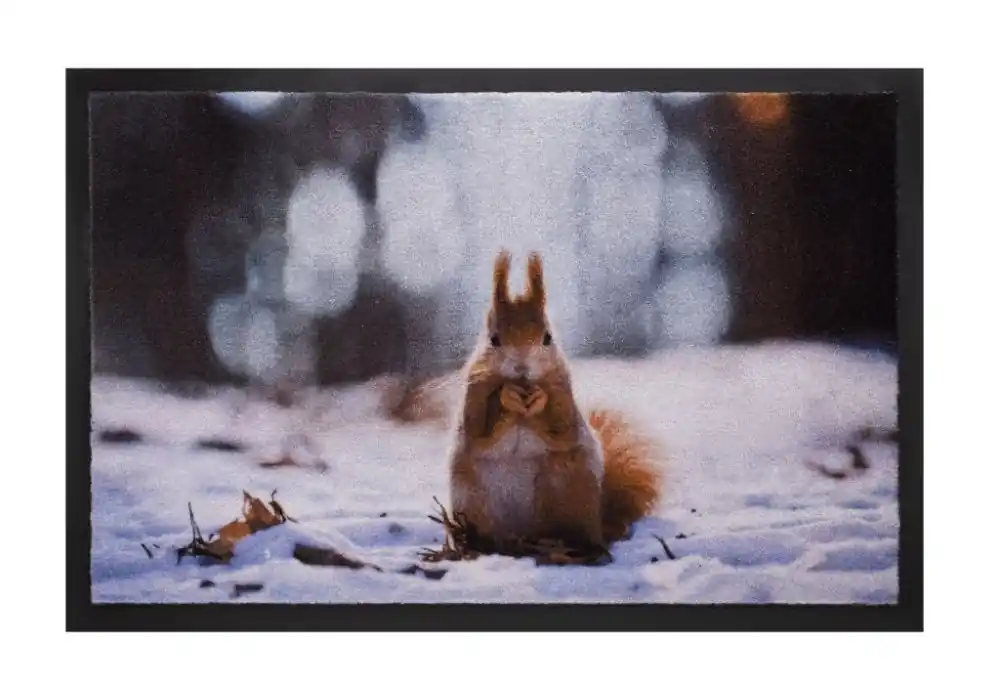 Rohožka 585 Image 018 squirrel Must-Have