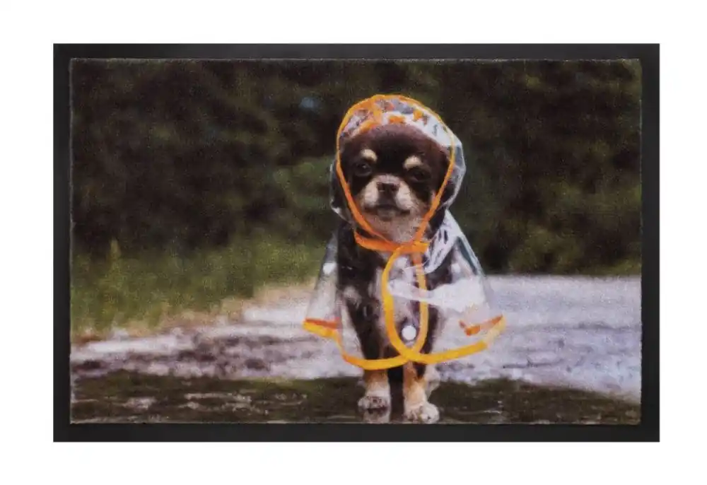 Novinka Rohožka 585 Image 019 raincoat dog