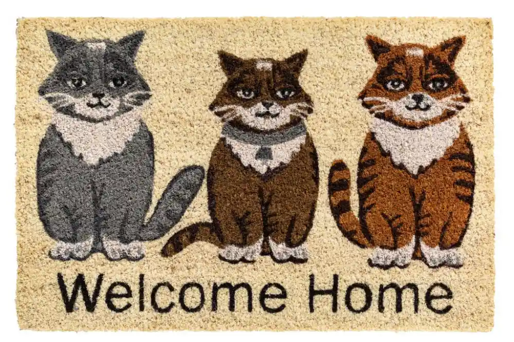 Rohožka 147 Ruco print 790 welcome home Finální Výprodej