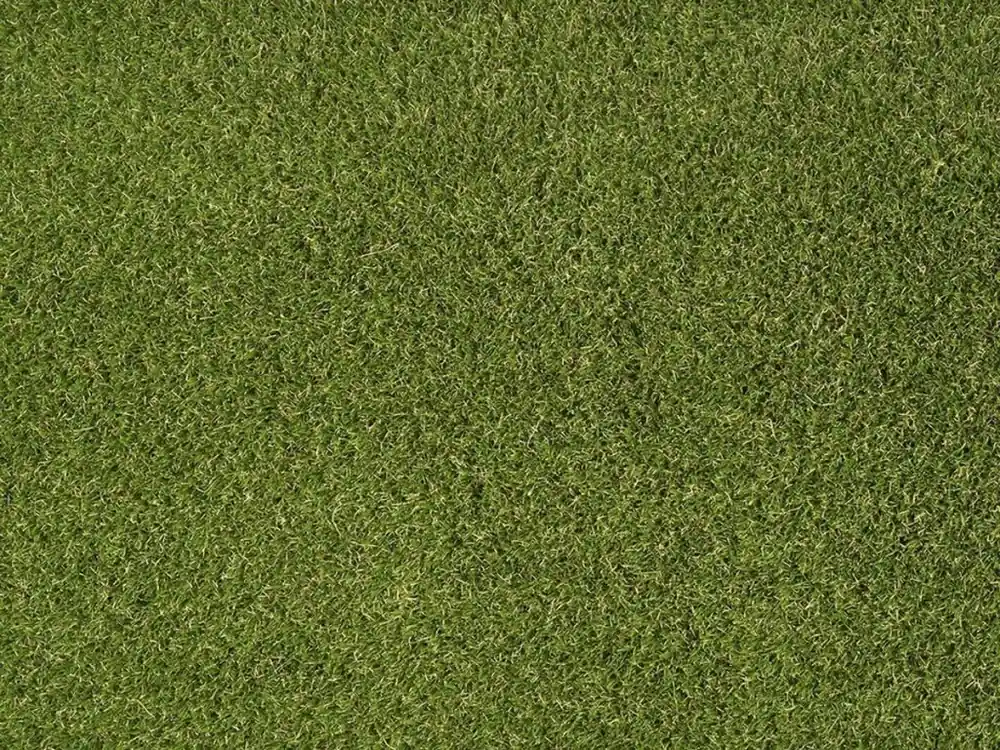 Umělý trávník Easy Lawn Daisy Doprava zdarma Horká Nabídka