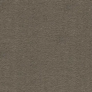 Koberec A1 COLORO LIANA 6555 Vzorek zdarma Zlevněný