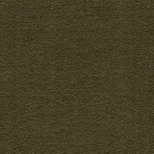 Koberec A1 COLORO LIANA 6565 Vzorek zdarma Vysoce Kvalitní