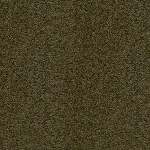 Koberec A1 COLORO LILIANA 7665 Vzorek zdarma Kup Teď