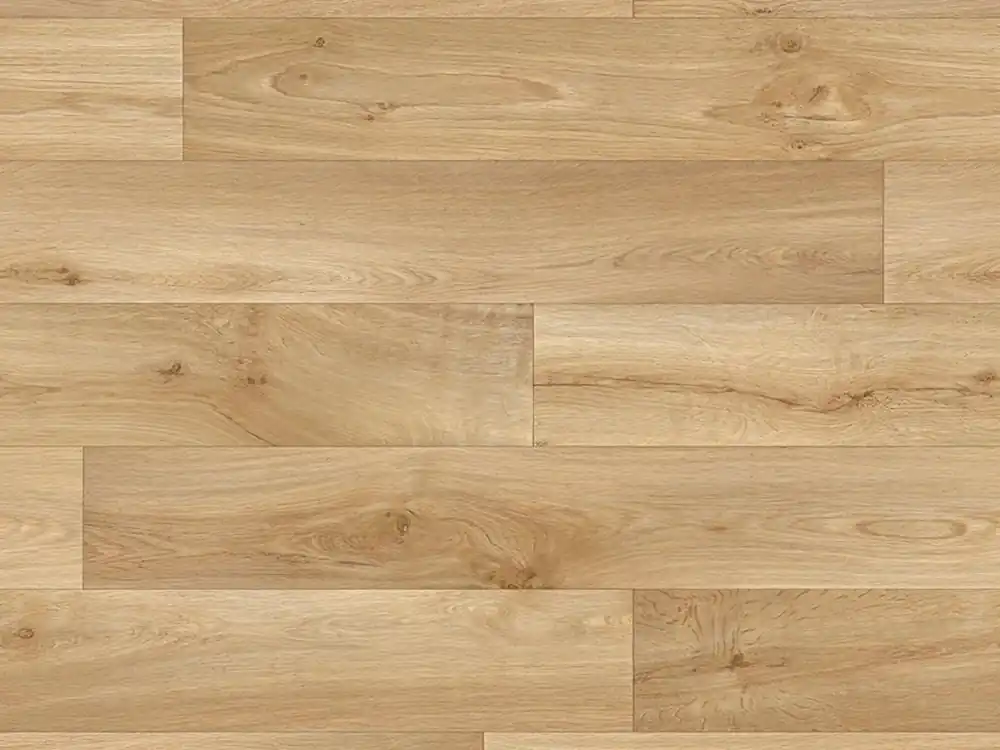 Jen Po Omezenou Doba Vinyl A1 LONG LIFE PRO PRIMA X 2737 Doprava zdarma