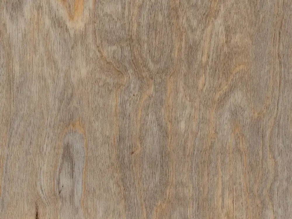 Amtico First Bleached Elm SF3W2516 - lepená vinylová podlaha Vzorek zdarma Přímo Od Výrobce